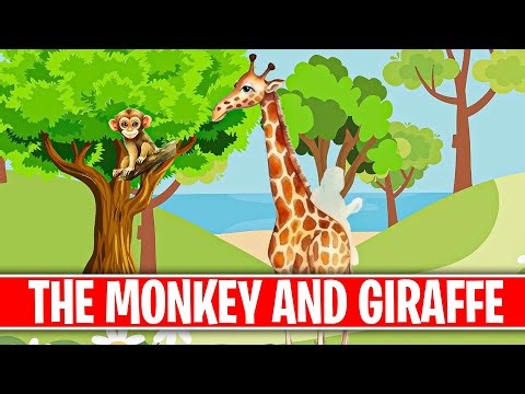 Monkey and Giraffe's Adventures || Fun Animal Stories for Kids