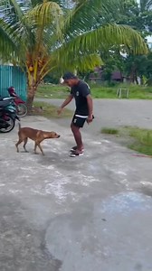 😂 | World Funny Videos