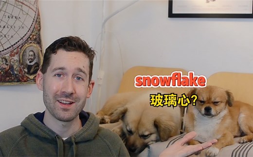 三个超实用美式俚语用法：snowflake/ok boomer/woke