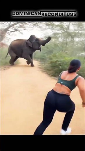 NO CORRAS POR AHÍ #naturaleza #animales #funny #divertido #viralsong #viralreels #fypviral