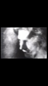 9.2K views · 482 reactions | Here you go everyone! Hopefully we don’t...