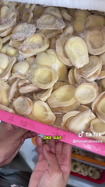 Kenapa proses vacuum frying buahnya harus dibekukan dahulu? #fionaindonesia #keripikbuah #salak #beku #kripik