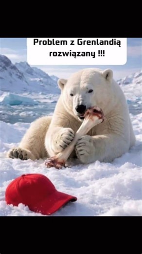 Problem with Greenland? Solved. Ja nic nie sugeruję, ale miś głodny to miś zły.