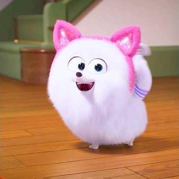 How to turn a dog into a cat #animatin #anime #trending #shorts #fyp #viral #movie
