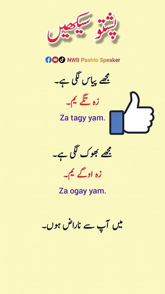 706K views · 10K reactions | Pashto Speaking Practice #urdupashtotranslation #urdu_pashto_translation #reelsviralシ #learn_pashto #Pashto NWB Pashto Speaker | NWB Pashto Speaker | Facebook