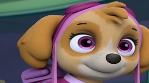 PAW Patrol