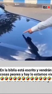 Willy Rodriguez on Reels