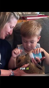 This kind girl rescued a baby beaver ❤️ #usa