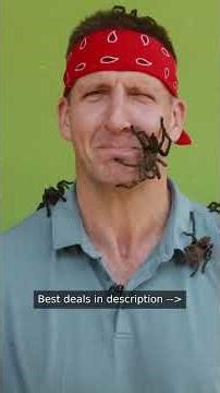 Processing 100lbs of Venomous Spiders 🕷️🔥