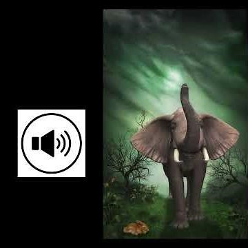 screaming elephant sound effect