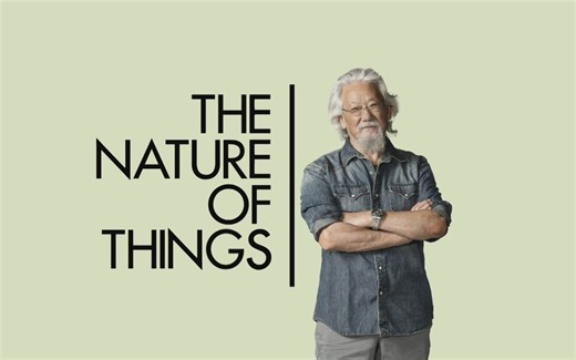 纪录片.CBC.成年人多动症（ADHD）.2017[高清][生肉]