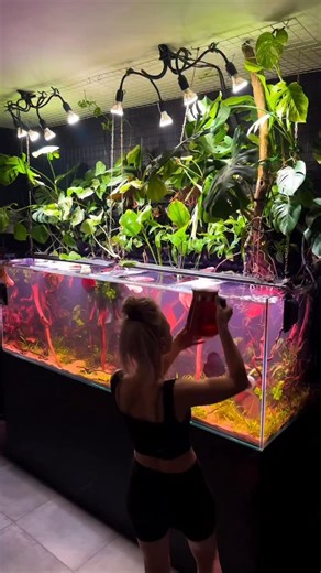 7.1K views · 1K reactions | 癩癩癩癩癩...