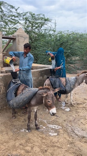 امرأة وزوجها يملآن الماء للحمير في الصحراء.