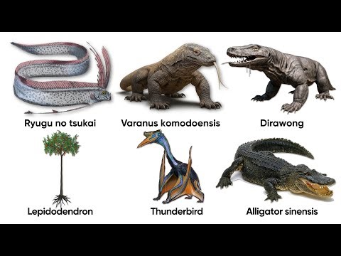 Dragons Were Real — The Creatures Behind the Myths Explained