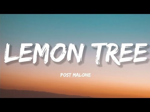 Lemon Tree (Lyrics) - Post Malone | Deep Meaning Song