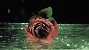 Make It Rain With This DIY Machine for Product Photography | Fstoppers