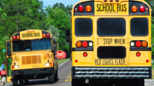 Bus stop chaos: Tampa bus driver reportedly caught on video driving away while kids use emergency exit