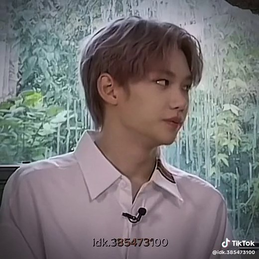CHANLIX - Felix and Bangchan Moments Compilation
