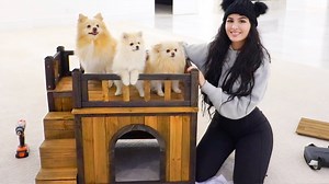 How much dogs do Sssniperwolf have? [2025] | QAQooking.wiki