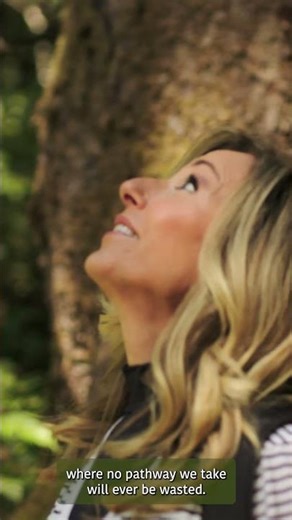 Walking with God | Beth Moore | Bible Study trailer #biblestudy #spiritualgrowth #faithjourney