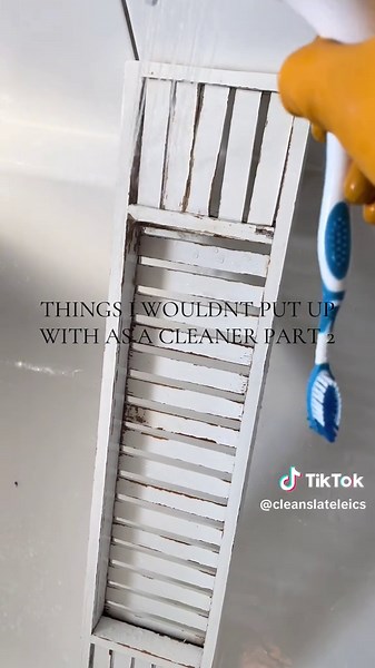 Cleaning Challenges I Won't Tolerate: Part 2 Insights