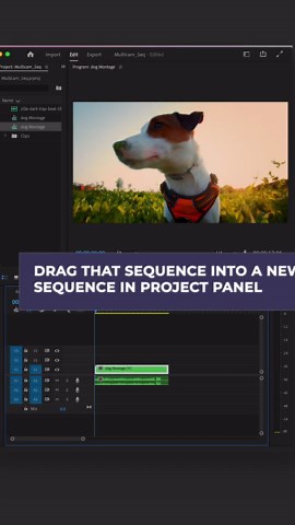 Game-Changing Video Editing Tip: How to Create a Multi-Cam Sequence in Adobe Premiere