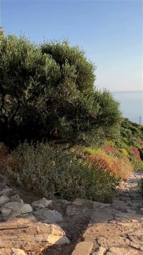 Marble sleeping giant Kouros at Apollon & Breathtaking bay views