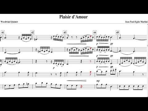Plaisir d'Amour(Johann Paul Aegidius Martin)-Woodwind Quintet