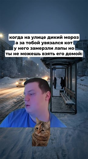 #мем #зима #кот #грусть | a cat crying