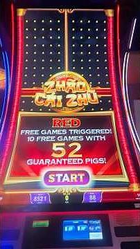 DANCING PIGS!! #zhaocaizhu #casinofun