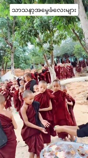 Novice Monks