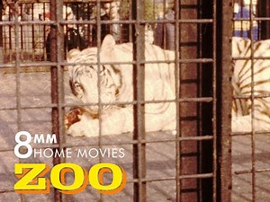 Vintage Zoo Archival Footage | Rare 8mm & Super 8 Films (1950s–1980s)