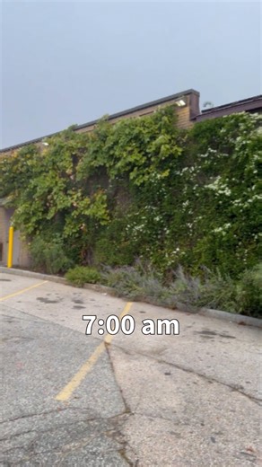IT'S SALE CHANGE DAY!  Did you know the Co-op offers bi-weekly deals on your favorite organic goods? Everyone is welcome at the Co-op and Co-op Deals are a benefit everyone can take part in. Interested in what products are on sale? Check out our website or grab a flyer in the foyer of our store. Happy Shopping  | Concord Food Co-op | Facebook