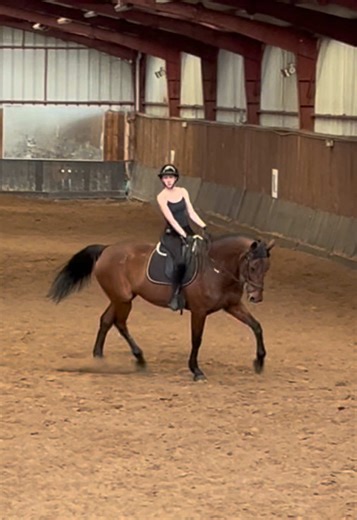 trop hâte omg #lamotte #cheval #competition