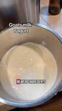 Goats milk yogurt is actually so easy to make and there is only two ingredients
