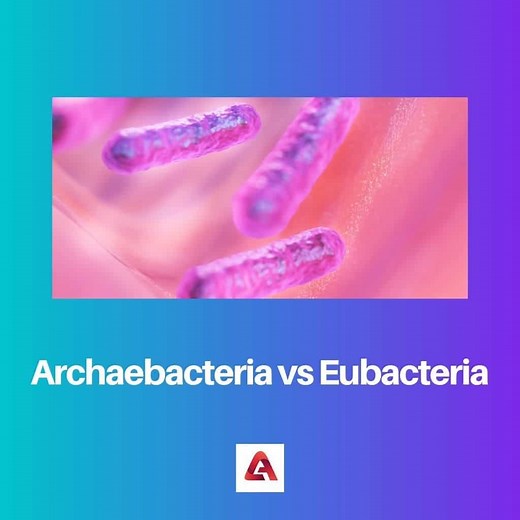 Archaebacteria vs Eubacteria: Difference and Comparison