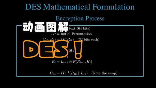 Data Encryption Standard (DES)
