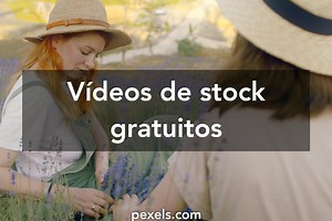 Vídeos de Woman Looking Out Window