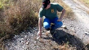 Coal Miners dug up 300 million year old Fossils and Threw them out! #fossils #history #mining | Adventure Archaeology And Southern Diggers