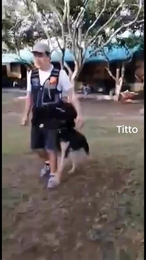 1.2K views · 41 reactions | LIFE AND LEADERSHIP LESSONS FROM DOGS...