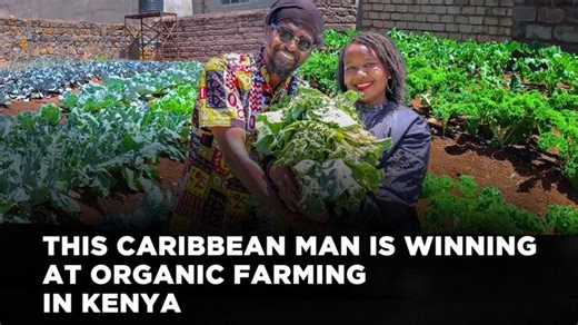 He Rejected Western Food Systems and Now Practices Organic Farming in Kenya | Lynn Ngugi Network | Kenya Organic Agriculture Network