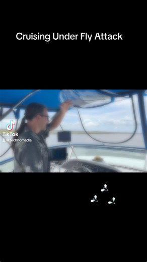 A quick little video we made sharing the green fly dance we did underway cruising along the ICW in Georgia. Enjoy? (See post from earlier today for more details). | Technomadia