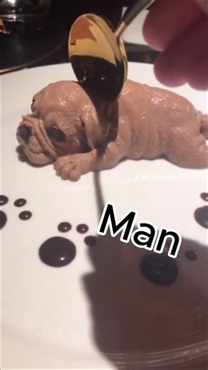 The Dessert Started Running...…😭🐶