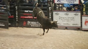 19K views · 3.9K reactions | The bovine athletes delivered powerful performances on night one of the Tryon preseason PBR Team Series event!  | RidePass | Facebook