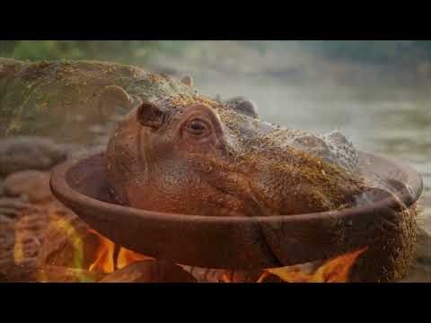 Cooking a Whole Hippo Head in the Jungle | ASMR Wilderness Cooking