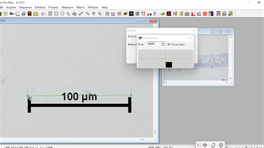 Image pro plus 插入标尺
