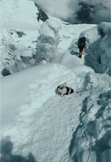 Ascenso a Montañas: Everest y K2
