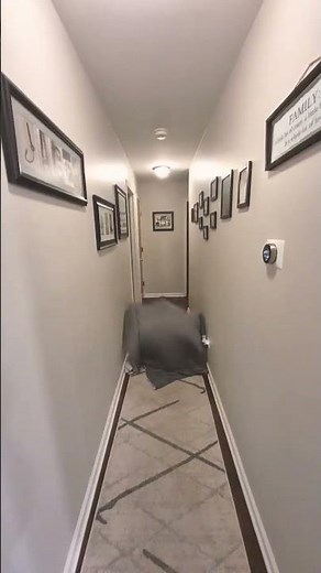 # disappearing.#memes #trend #funny