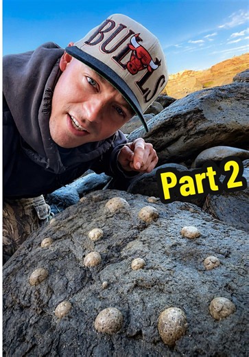 Replying to @セジェイ You Will Not Believe What Was Hiding Inside This Rock ‼️😱 At first, this just looks like a weird broken concretion from the Oregon coast. But when it cracked open, something started showing through the stone. Dark shell material. Raised bumps. A rounded armored body. Tiny details that had been sealed away for millions of years. This wasn’t just a random rock. It was a fossilized animal from the Astoria Formation near Newport, Oregon. This formation is from the Miocene, around 