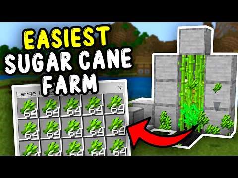 EASIEST SUGAR CANE Farm Minecraft Bedrock 1.21+!